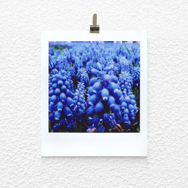 ましかく写真 チェキプリント 1の画像1枚目