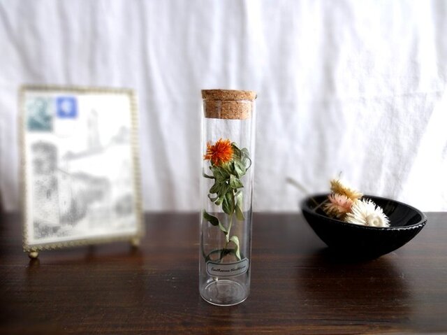 【受注生産】植物標本 Botanical Collection■スリムボトル■紅花 夏祭の画像1枚目
