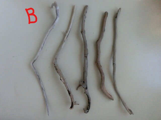 くねくねした流木 (5本セット)の画像1枚目