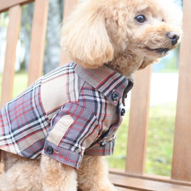 おしゃれな犬の服｜ビエラチェックシャツ（ベージュ）｜SSサイズ iichi 日々の暮らしを心地よくするハンドメイドやアンティークのマーケットプレイス