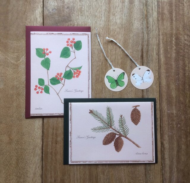 greeting card / さんきらい 松ぼっくり グリーティングカード 植物画の画像1枚目