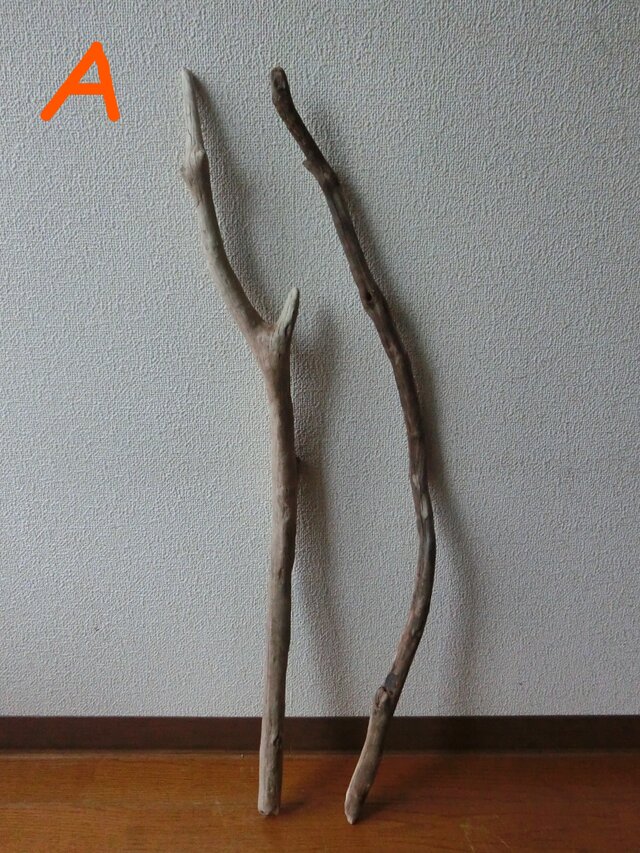 drift wood素材(75~90cm 2本セット)インテリアなどに人気です!の画像1枚目
