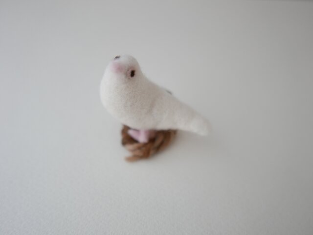 白鳩 ブローチの画像1枚目