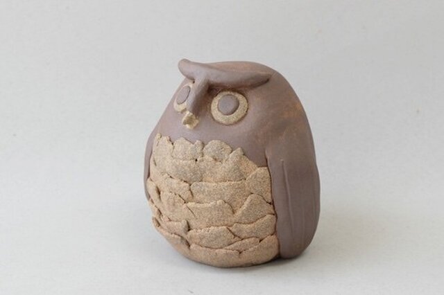 フクロウの画像1枚目