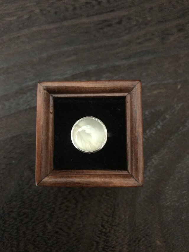プレナイトのRingの画像1枚目