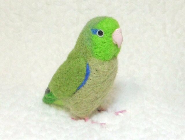 羊毛フェルト お花畑と大きなひまわりにマメルリハちゃん 夏飾り インコ マメルリハちゃん完成しました🩵 この子の制作過程はYouTubeにて公開し