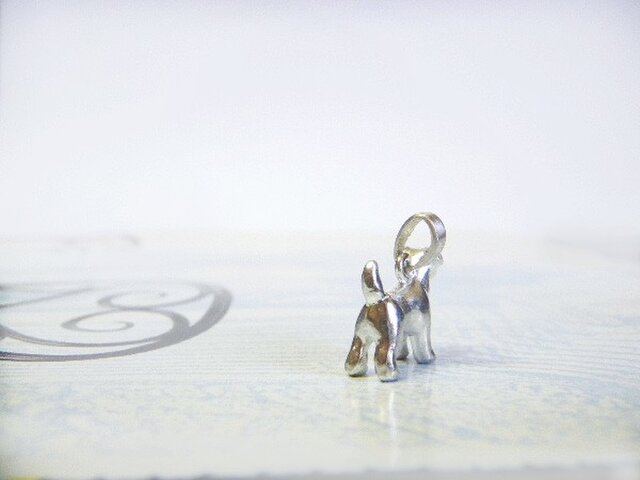 ジャックラッセルテリア | iichi 日々の暮らしを心地よくする