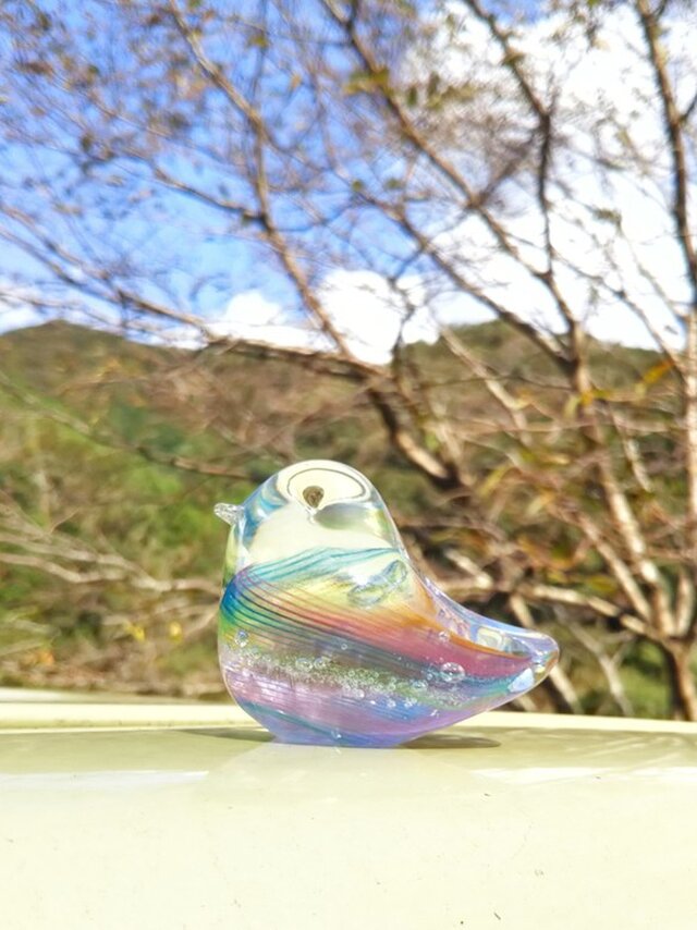 虹色の小鳥 SSの画像1枚目