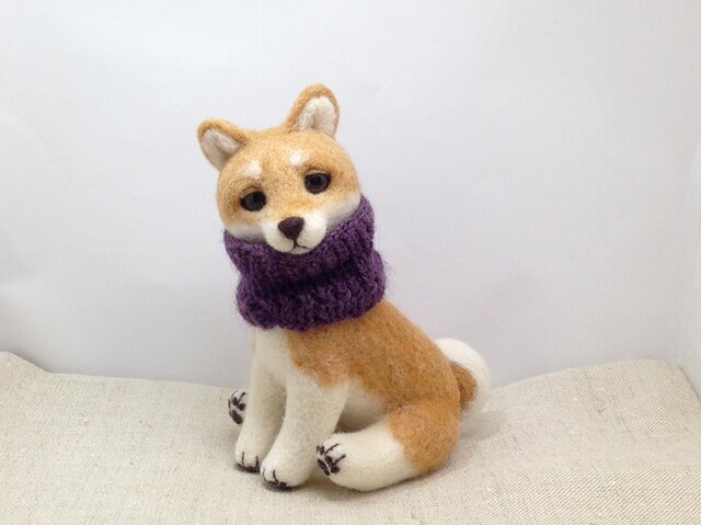★お座り柴犬さんの画像1枚目
