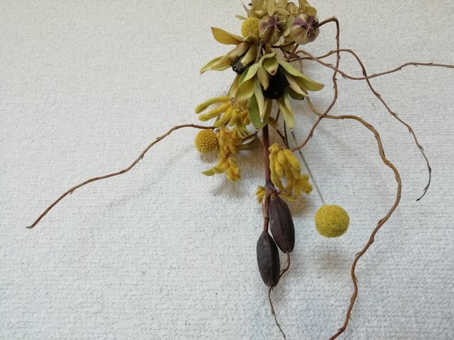 送料無料)ドライフラワースワッグ*リューカデンドロンと、 | iichi