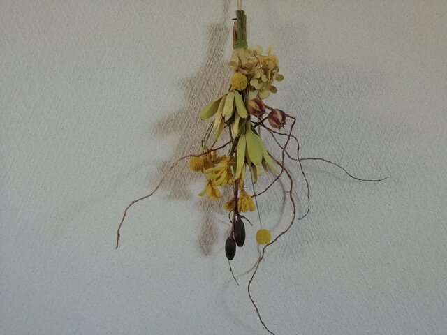 送料無料)ドライフラワースワッグ*リューカデンドロンと、 | iichi