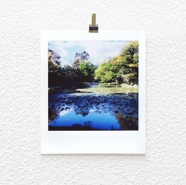 ましかく写真 チェキプリント 10の画像1枚目