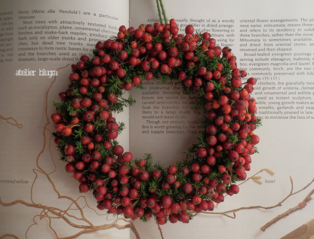 八ヶ岳〜(定形外郵便)MiniWreathノイバラの実11(BOX入り)の画像1枚目