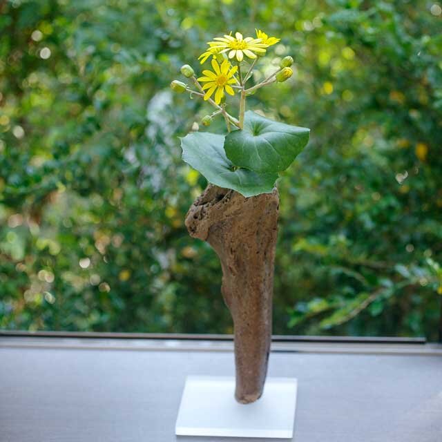【送料無料】流木の花器、フラワーベース、18の画像1枚目