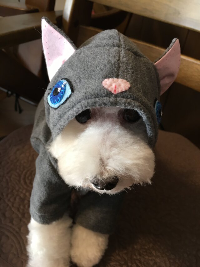 小型犬用なりきりファッションの画像1枚目