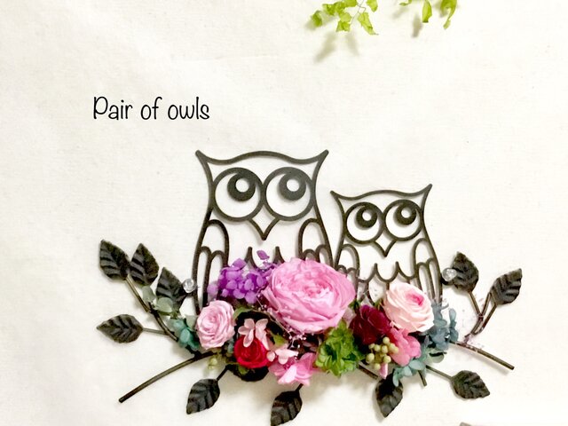 プリザーブドフラワーPair of owlsの画像1枚目