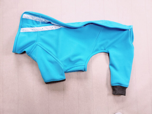 犬服 O様オーダーメイド品:ウィペット用フルスーツ(背中開き) ライトブルーの画像1枚目