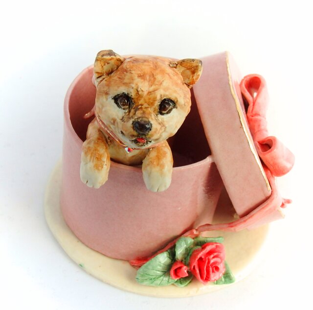 豆しば in the box!の画像1枚目