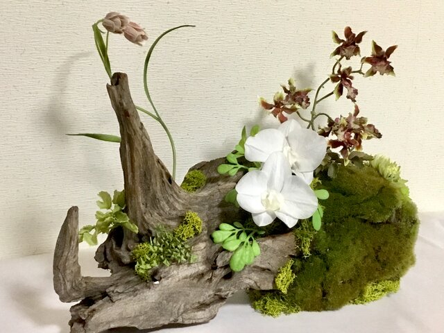 天然流木アート 仙千代の画像1枚目