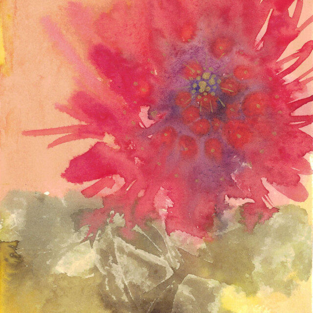 赤い花-red flower-の画像1枚目