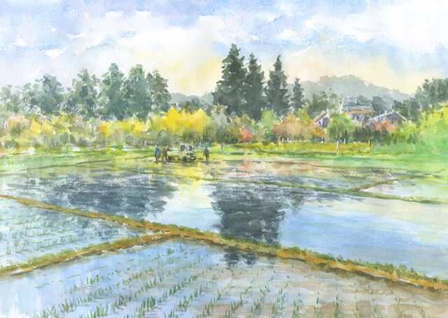 注文制作します 水彩画原画 春の水田風景 | iichi 日々の暮らし