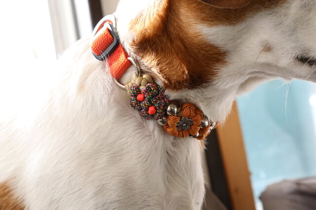 パラコード❥首輪❥　わんちゃん用首輪　水色　№020 8色 パラコード の 首輪 わんちゃん ハンドメイド 散歩 大型犬