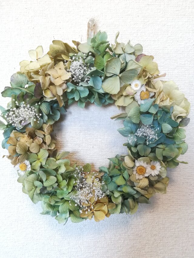 再販[送料無料]ドライフラワーリース◆あじさいと白いお花と、