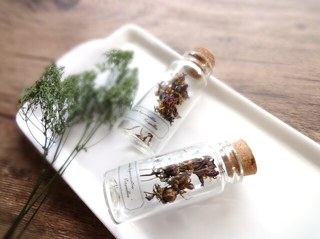 植物標本 Botanical Collection■No.60 コスモス ベルサイユの画像1枚目