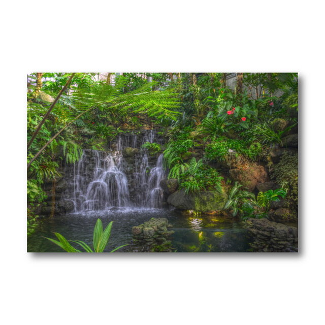 【写真のみ】Botanical Garden【A4 送料無料 アートフォト】テキスト挿入のオーダー承りますの画像1枚目
