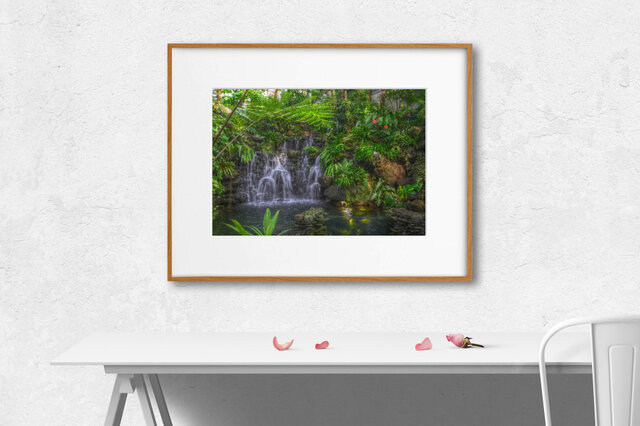 【額装写真】Botanical Garden【A4 アートフォト】テキスト挿入のオーダー承りますの画像1枚目