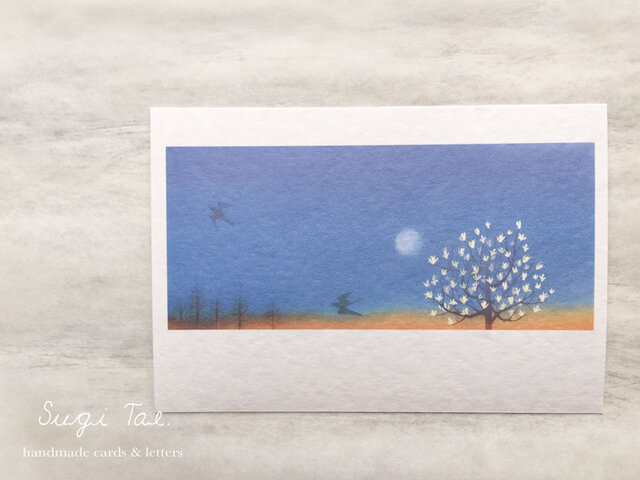夜明けの満月の画像1枚目