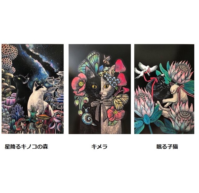 オリジナルポストカード3枚セット 「星降るキノコの森」「キメラ」「眠る子猫」の画像1枚目