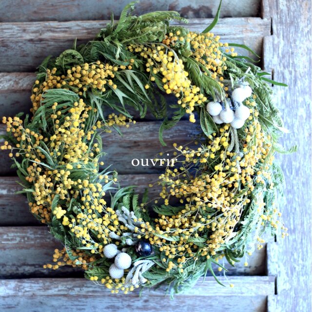 ミモザと実物のリース
