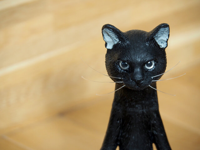 The Cat 200% 【クロネコ】【送料無料】の画像1枚目