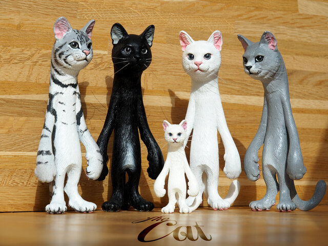 アメショーcatさん専用 SANX│アメリカンショートヘア