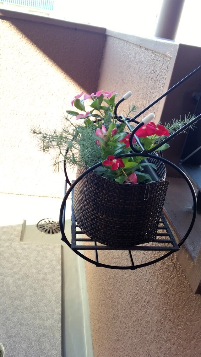 ２R２１×２１（黒色）