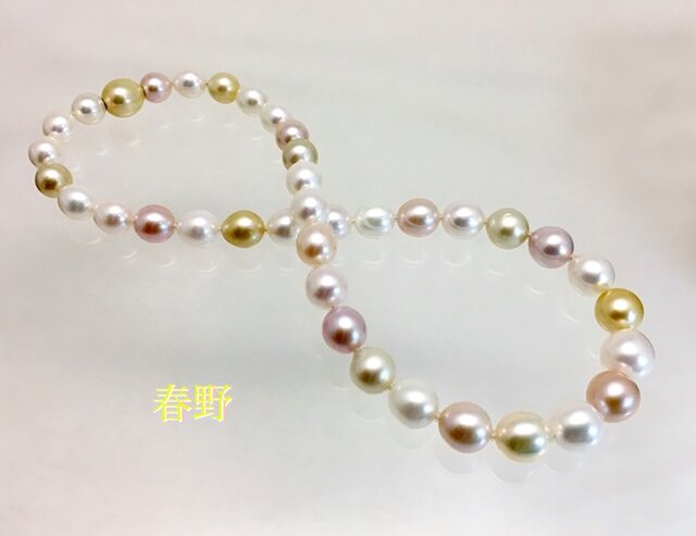 Haruno(春野パステル)の画像1枚目