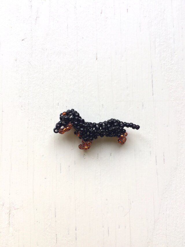ミニチュアダックスフントの画像1枚目