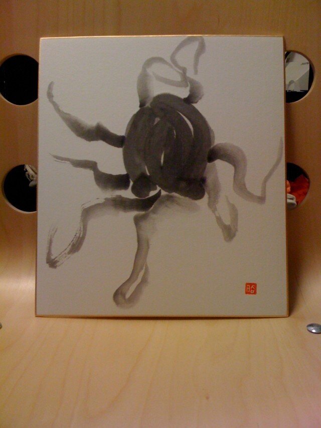 海中を舞う蛸の画像1枚目
