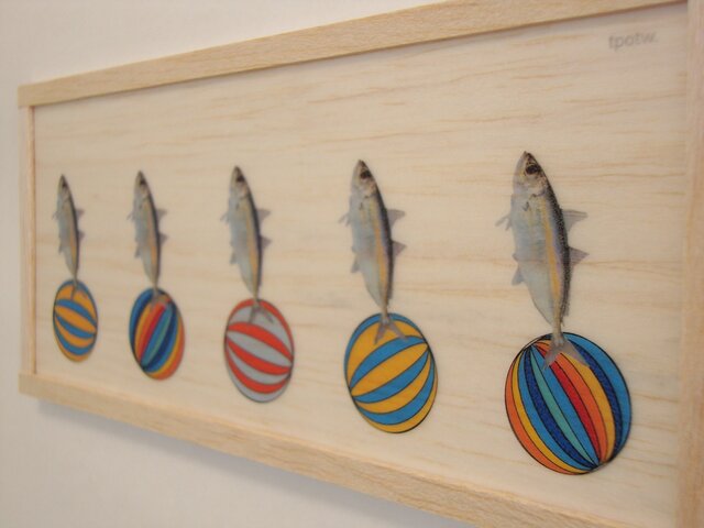 Fish ride on the colourful ballの画像1枚目