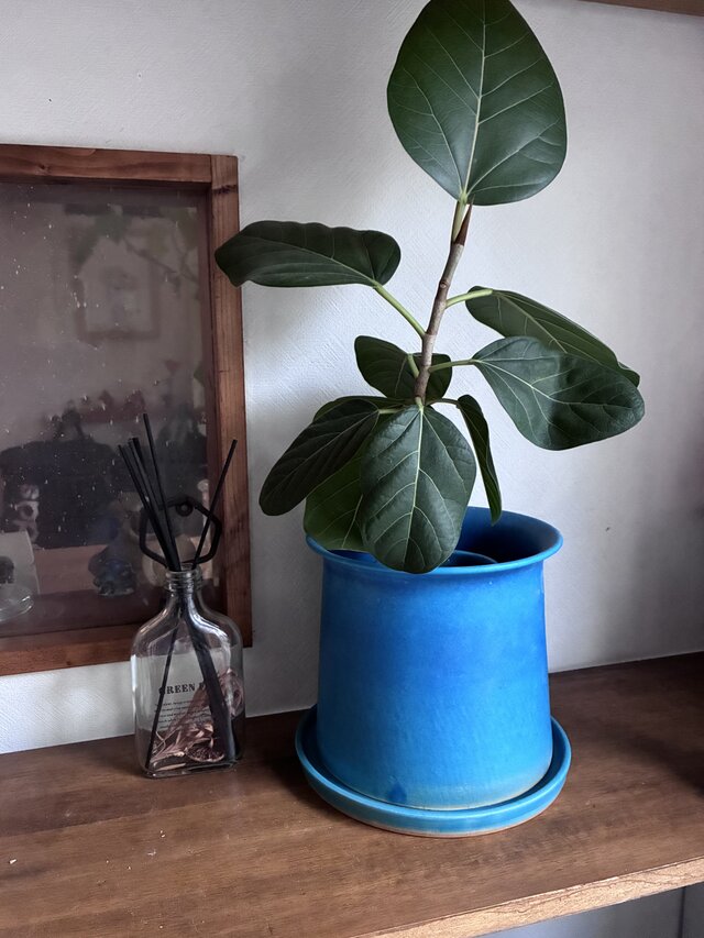 植木鉢M ターコイズブルー 受け皿付き | iichi 日々の暮らしを心地よく