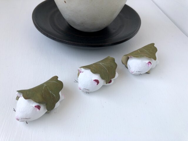 柏餅みたいな猫さんの画像1枚目