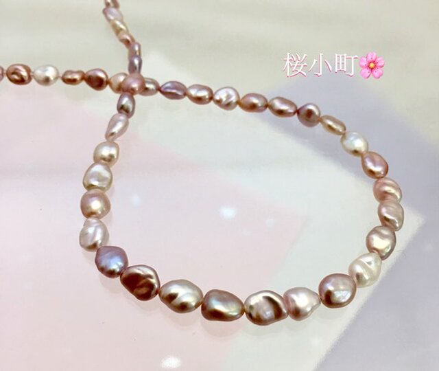 桜小町(サクラコマチ)の画像1枚目