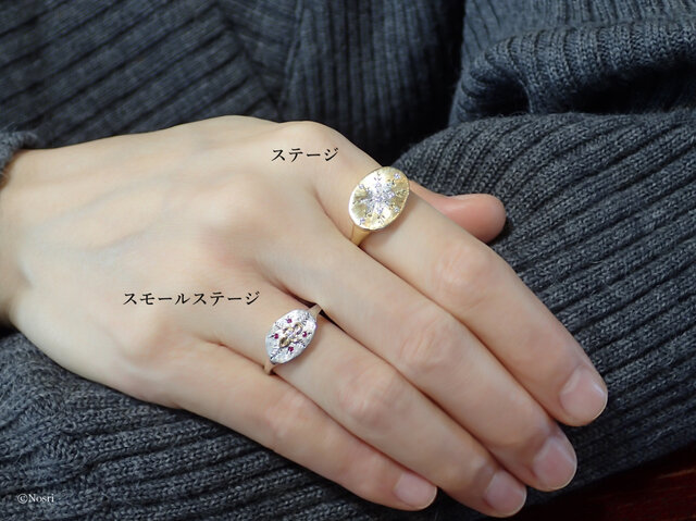アクセサリー THE SHISHIKUI Slice diamond ring 4mm Rose Cut Diamond Ring (SOURCE) - SOURCE objects（ソウス