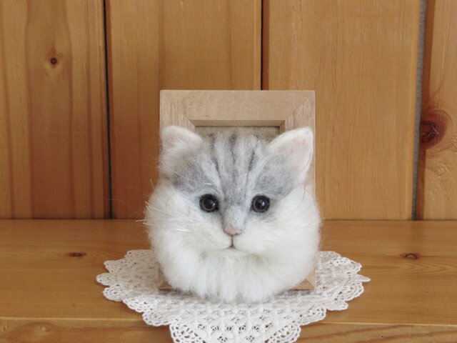 チンチラシルバー 猫 フレーム の画像1枚目
