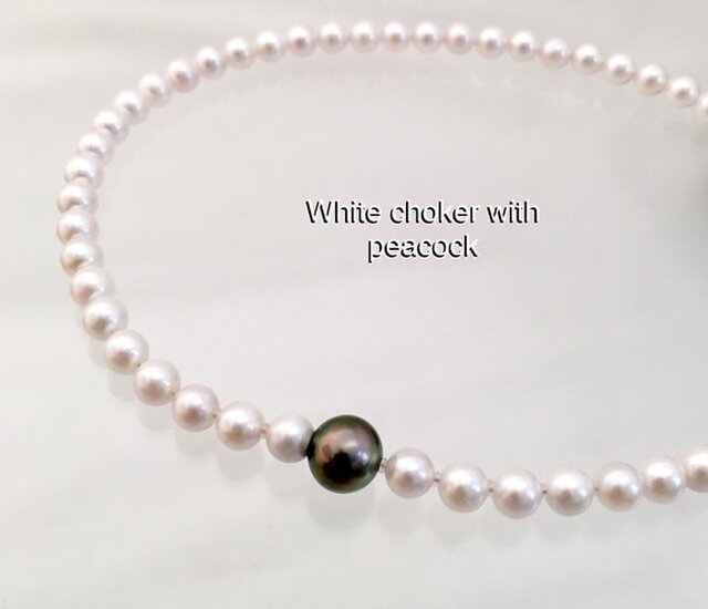 White choker Peacock(ホワイトチョーカーピーコック)の画像1枚目