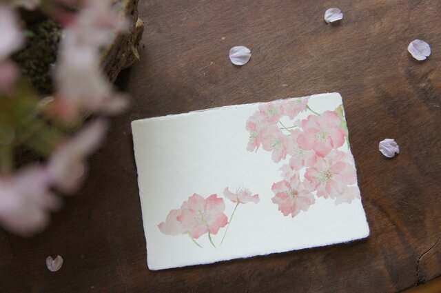 絵葉書【さくらさく】の画像1枚目