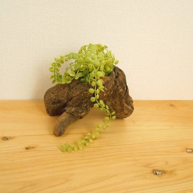 【温泉流木】なんともかわいい皮付き根流木のミニミニプランター 流木インテリアの画像1枚目