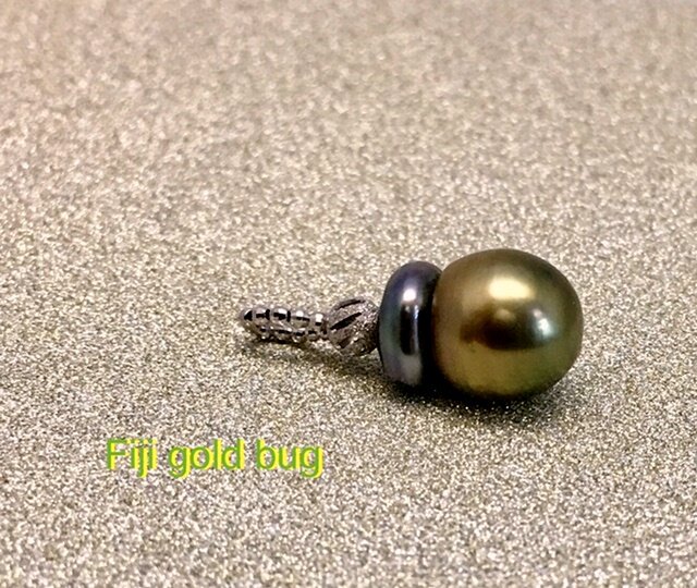 Fiji gold bug(フィジーゴールドバグ)の画像1枚目