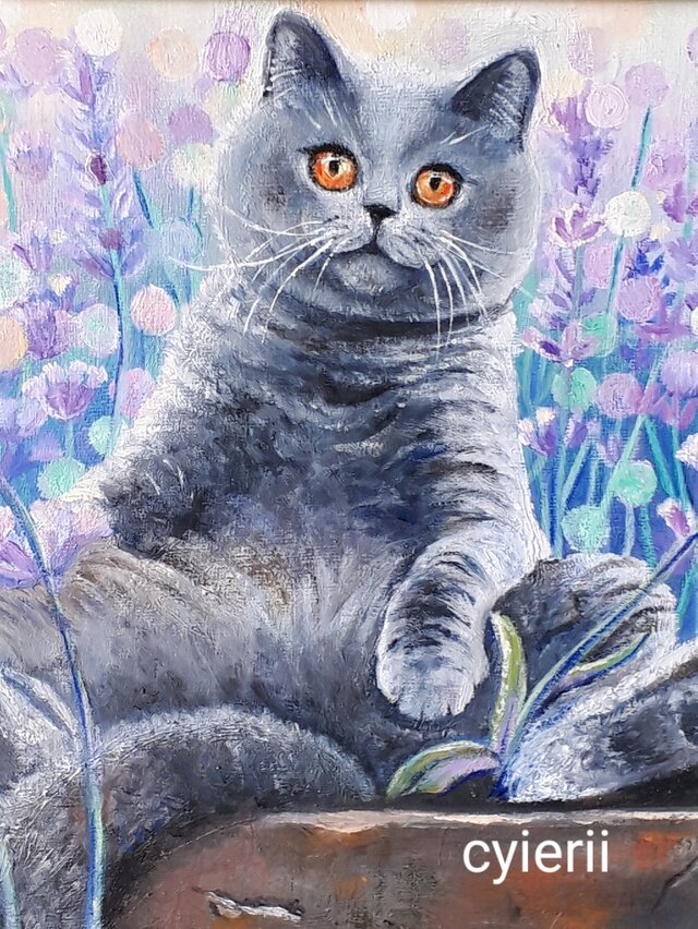 お気に入りの画像1枚目